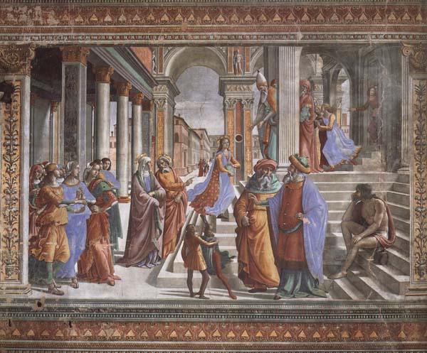 Domenicho Ghirlandaio Tempelgang Marias oil painting image